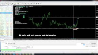 Forex Smart auto BreakOut + Hedge EA