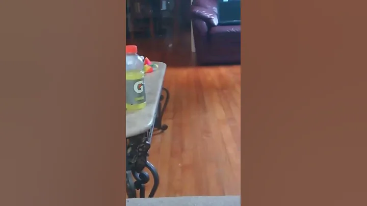 The awesome floor