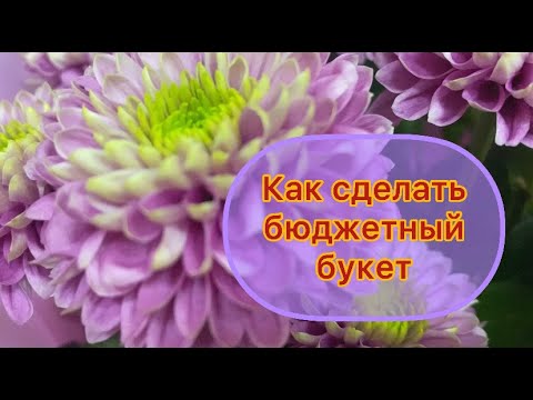 Как Собрать Небольшой Бюджетный Букет