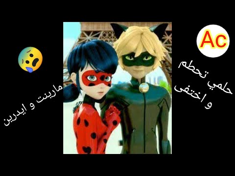 حلمي تحطم و اختفى على الدعسوقة و القط الأسود لا يفوتك