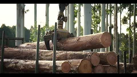 Red Grandis (FSC) - available at Thaweephan Wood Products