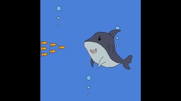 Meet the Friendliest Shark🦈 in the Sea