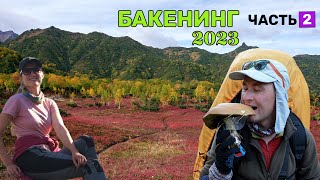 видео: Маршрут похода вокруг вулкана Бакенинг в сентябре 2023, часть2 | Походы по Камчатке картинка: Маршрут похода вокруг вулкана Бакенинг в сентябре 2023, часть2 | Походы по Камчатке