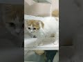 انا زعلتك في حاجه انا زعلتك في حاجه