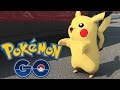 POKEMON GO IN REAL LIFE