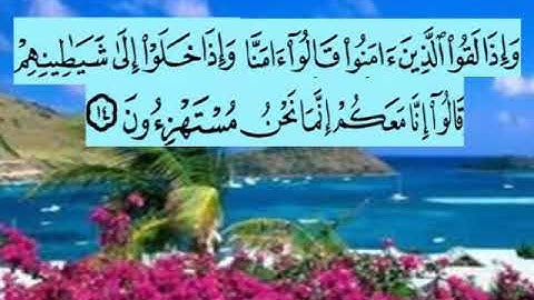 سورة البقرة اية ١٤ جمال القرش