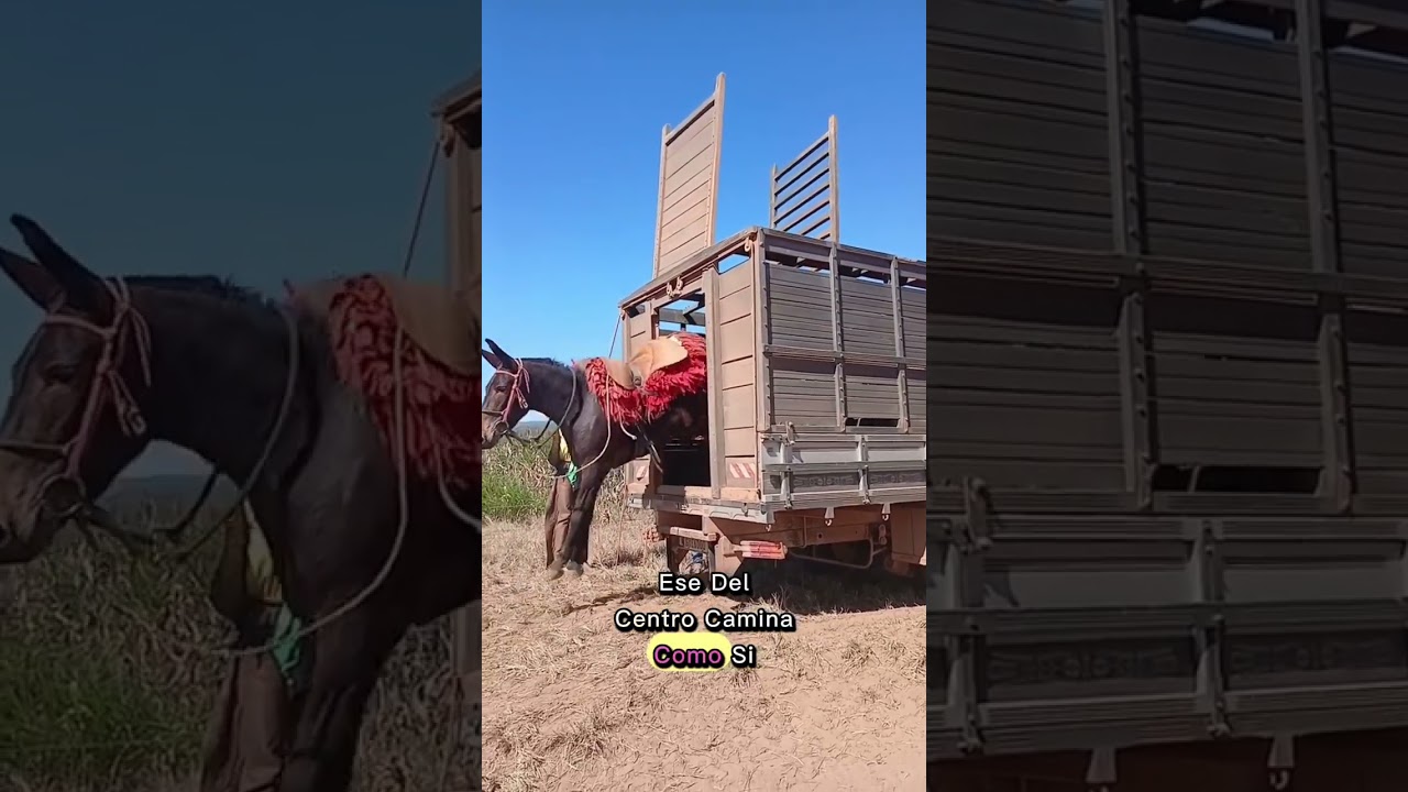 ¡Desfile rural: así bajan los caballos del señor Chaga!