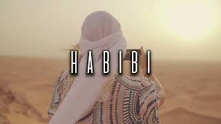 Fly HABIBI - Doan Mulla Resimi