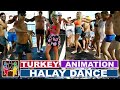 Halay oyunu. Turkşsh dance Halay