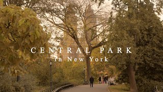 [Playlist] Walk With Me in Central Park, New York