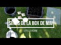 Les semis de la box jardinage de mai