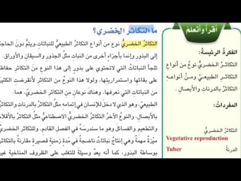 علوم سادس التكاثر الخضري صفحه 26 و 27 و 28 علوم للصف السادس الابتدائي صفحه 26 علوم سادس التكاثر الخضري صفحه 26 و 27 و 28 علوم للصف السادس الابتدائي صفحه 26