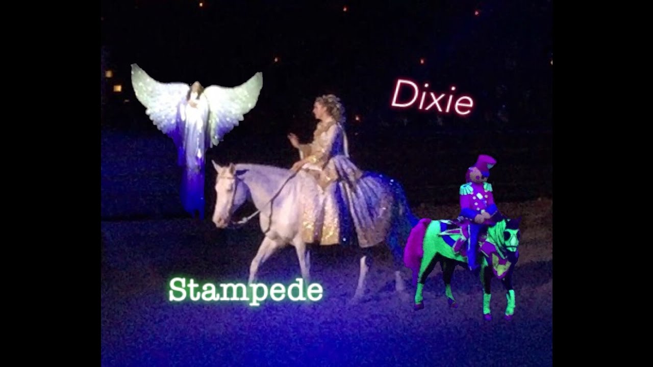Trip to Dixie Stampede!!!!! YouTube