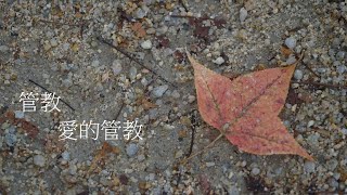 靈修:管教-愛的管教 20210504 (潮語讀經版) 靈修:管教-愛的管教 20210504 (潮語讀經版)