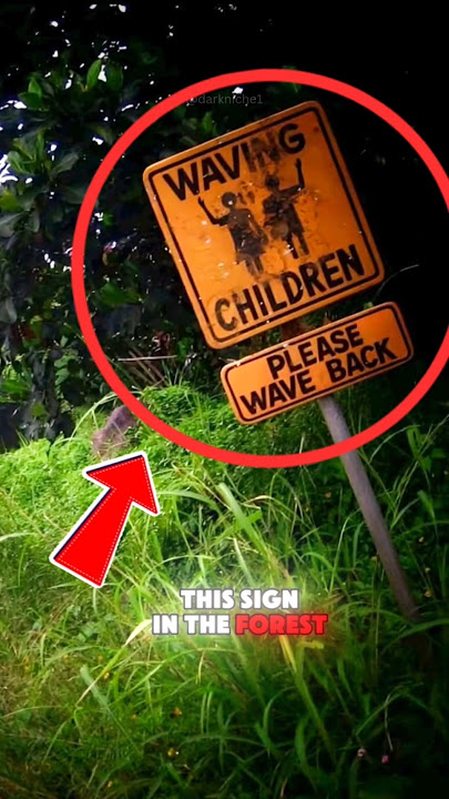 If You Ever See This Sign in the Forest… RUN IMMEDIATELY⚠️💀