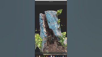 Turning a blue tree stump into a 3D Model in Adobe Sampler #photogrammetry