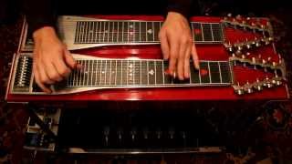 Dunn Chuck - Wills Point (Buddy Emmons cover on pedal steel guitar) chords