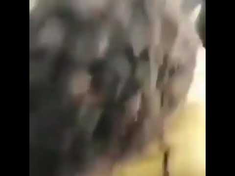 ضربونا رصاصتين شهيد الترس عباس فرح مجزرة القيادة العامة