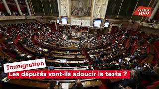 Immigration : Les députés vont-ils adoucir le texte ?