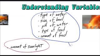 Independent and Dependent Variables Made Easy!! Independent and Dependent Variables Made Easy!!