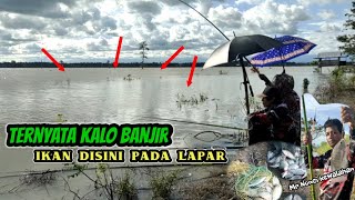 Mancing Ikan Nila waktu Banjir ikannya kelaparan ‼️