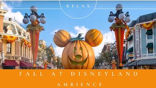 Fall At Disneyland Ambience 🍁🍂✨