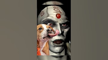 The WEIRDEST Thing in Mortal Kombat Deception 🤔🐶👨🏻‍🦲 #shorts #mortalkombat #quanchi