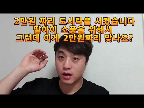 2만원짜리 도시락을 주문했다 ? 2만원짜리 맞아? 유치원 도시락