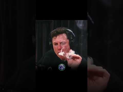 ИЛОН МАСК Раскрывает Секрет Успеха #ИлонМаск#Tesla#илонмаск#секреты#успех#spacex#маск#тесла#рек#топ