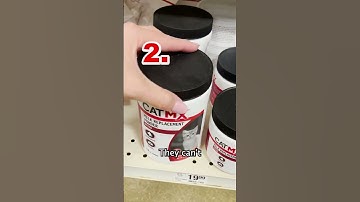 Taking care of an abandoned kitten