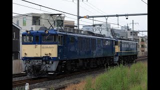 2025/09/10 配給列車 EF64 1031+EF65 1115