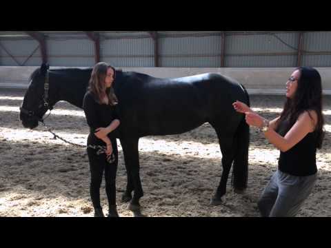 Ditte Young, conflict riding why? In english, Fredensborg Denmark May 2015 Ditte Young, conflict riding why? In english, Fredensborg Denmark May 2015