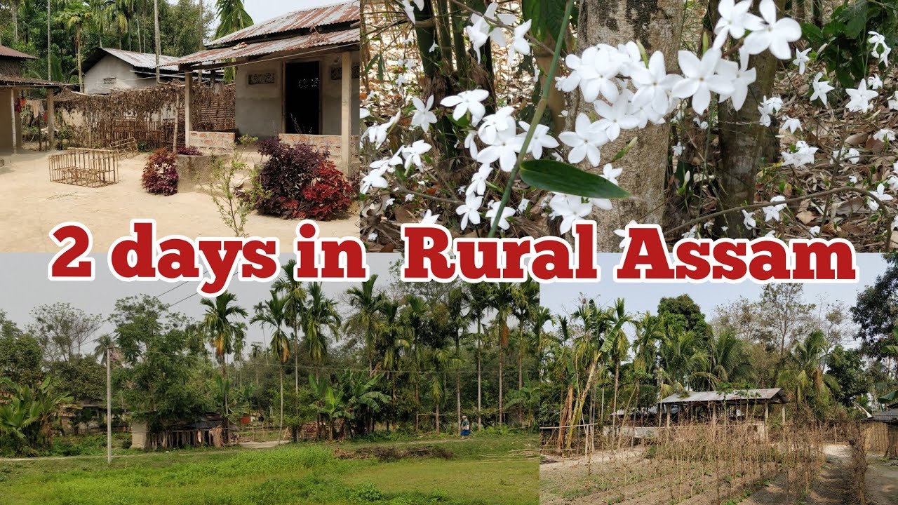 EXPLORING RURAL ASSAM - YouTube