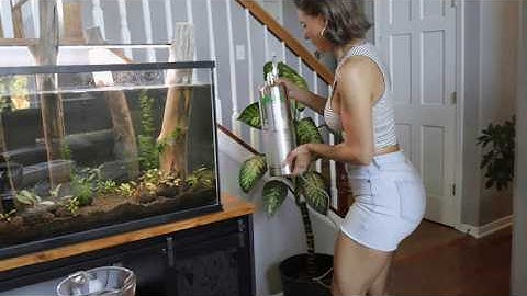 Step-by-Step Guide: Setting Up My Hygger CO₂ Generator