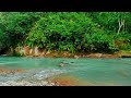 Swift moving water Sparkling Sleep Gentle of River Stream Forest River Meditation dynamic meditation