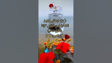 القرآن الكريم راحة نفسية 🥀تلاوة خاشعة حالات واتس اب قرآن كريم