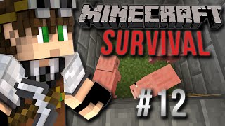 MINECRAFT [ITA] - SURVIVAL - LA STANZA DELLA LANA #12