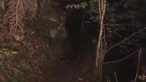 Đi Đêm Một Mình Gặp Ma Nhờ Niệm Phật Được Chuyển Dử Hóa Lành