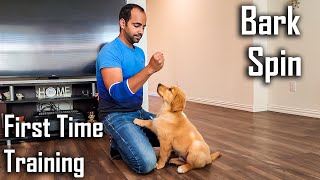 "Bark" and "Spin" | First Time Training my Golden Retriever Puppy | Hindi