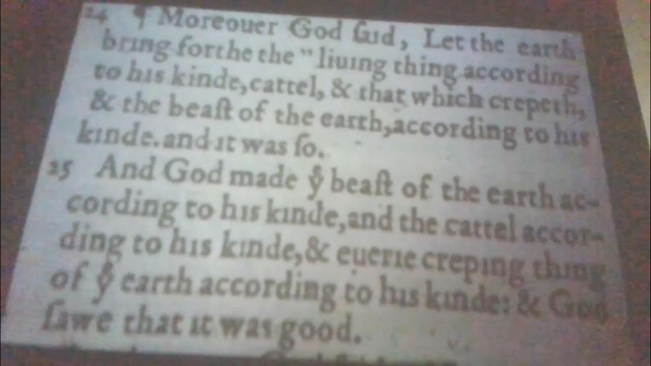 genesis-chapter-1-verse-24-25-youtube