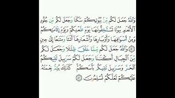 16 - سورة النحل ٨٠-٨١ - خالد الجليل