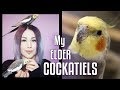 Introducing elder COCKATIELS Becky & Eetu (& BLOOPERS!)