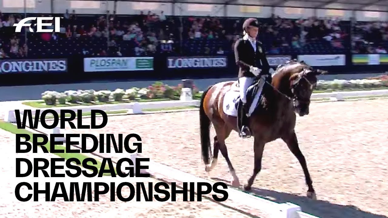 RE-LIVE | Dressage (6-yr-old horses) | Longines FEI/WBFSH World Breeding Dressage Championships 2018