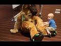 Fursuiting Fun at Anthrocon 2014