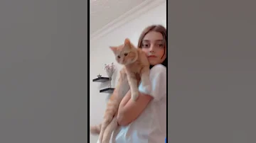 عندي قطة وانت لا 