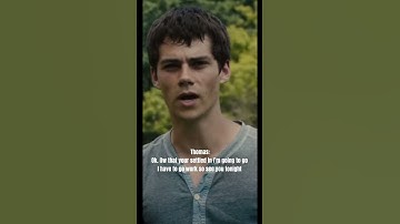 Maze runner x Yn part 8