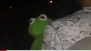 Kermit sings Usher Full Original Video (GOODBYE VINE)