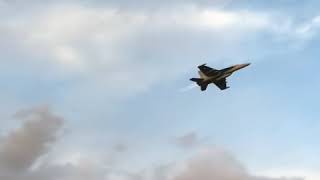 F/A-18 flyover