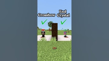 Minecraft Guess The Block