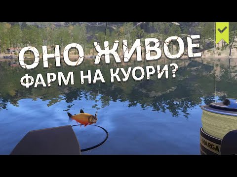 Где фарм на Куори? Проверяем тролинг! - Русская Рыбалка 4